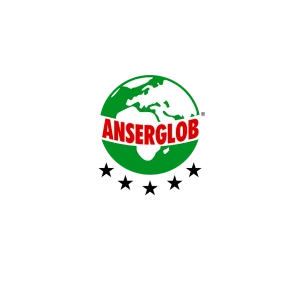 Логотип Anserglob — продукцію в BUDMO